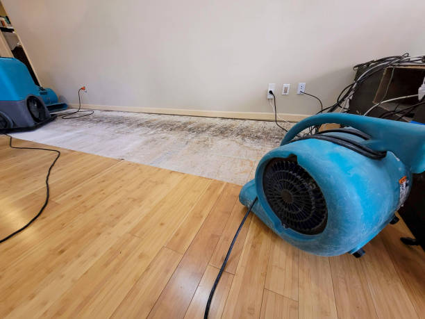 Professional Ceiling Water Damage Repair technician working in East Weymouth, MA